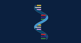 RNA strand